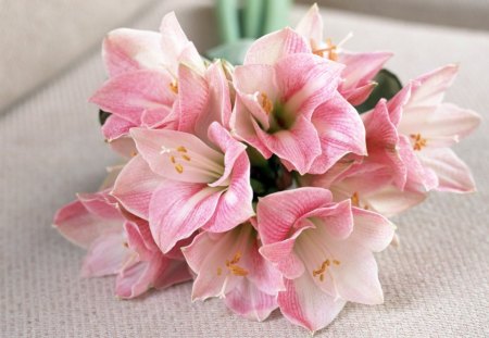 Pink bouquet - bpuquet, flowers, petals, pink