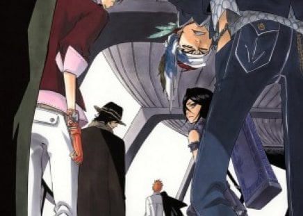 the crew - renji, anime, rukia, bleach, toushiro, ichigo, sado