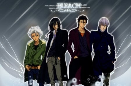 bleach group - aizen, bleach, toushiro, byakuya, anime, captain, gin