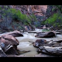 Virgin River Zion National Park In Utah