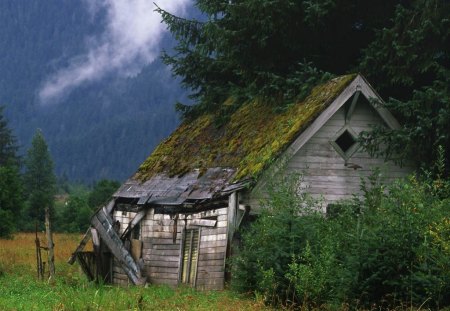 Old Barn - countryside, architecture, old barn