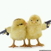 Armed Chicks