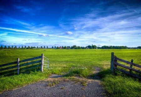 	into the meadow - door, grass, meadow