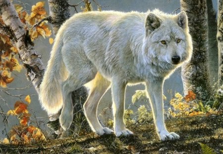 White Wolf