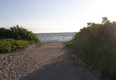 beach - sandy, beach