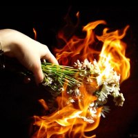 gothic burning flower