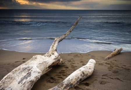 SUNSET HORIZON - log, beach, shore, sea