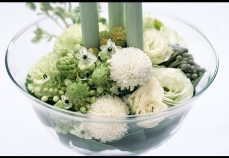 Flower arrangement - flowers, style, bowl, arrangement