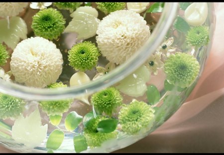 Bowl of flowers - style, white, bowl, water, flowers, green