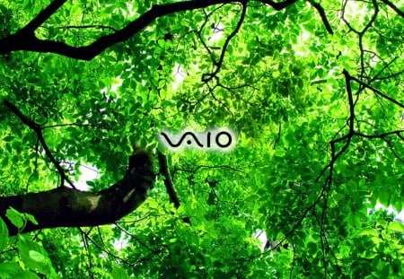 Vaio-Tree - people, technology, windows, other