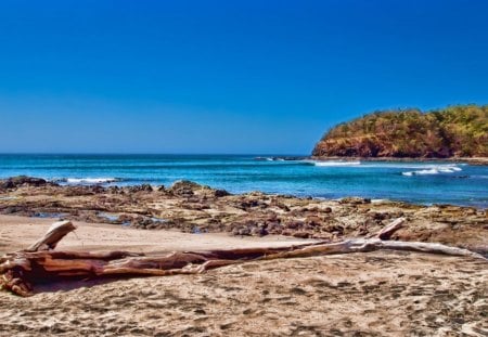 driftwood on a costa rican beach hdr - beach, hdr, sea, driftwood, rocks