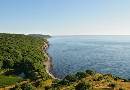 green coastline in denmark - beach, trees, sea, coast