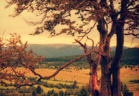 I see hills on distance - landscape, forest, mountains, fields