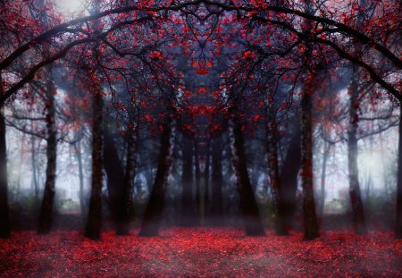 ✰Red Flowers in Forest✰ - pretty, blossoms, Premade, scenery, flowers, stunning, blooms, colors, love, places, floral arch, Forests, Nature, splendor, Resources, leaves, Stock Images, magnificent, splendid, gorgeous, red, view, branches, trees, beautiful, scenic, Woods, cool, lovely, florals, sweet, colorful, Backgrounds