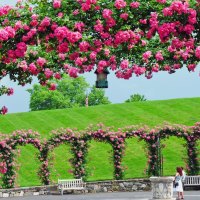 Longwood gardens