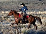 A Real Cowgirl on the Range