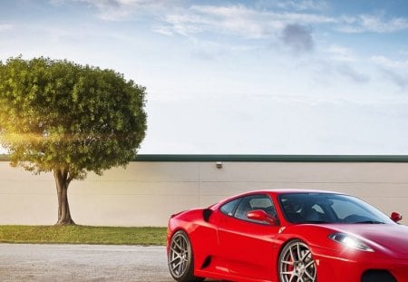 ferrari lonetree - car, red, tree, ferrari