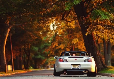 honda s2000 open hood - road, car, honda, tree