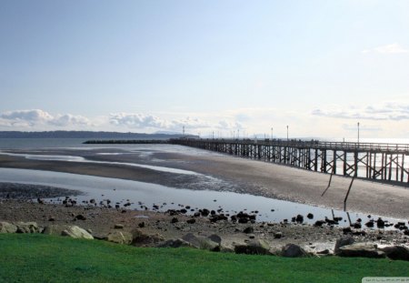 the pier at white rock vancouver - pier, grass, bay, low tide