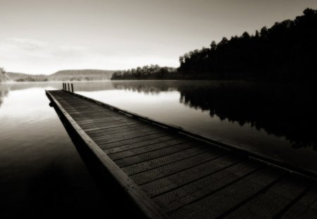 dock on a lake in monochrome - balck and white, lake, forest, dock