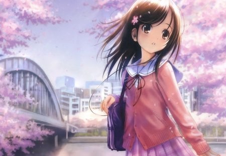 anime - anime, face, girls, bridge