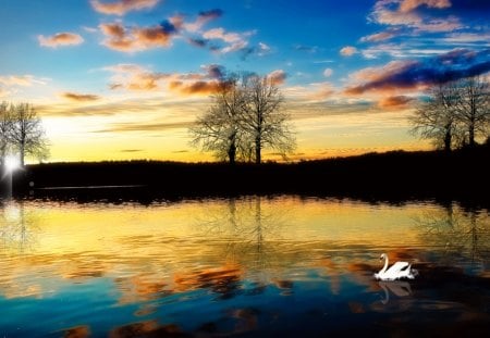 Autumnal Sun - lake, swan, silhouette, autumnal, sun