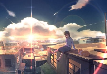 Dawn - sky, scenic, cat, female, girl, sun, clouds, dawn, city, anime, sunrise, manga