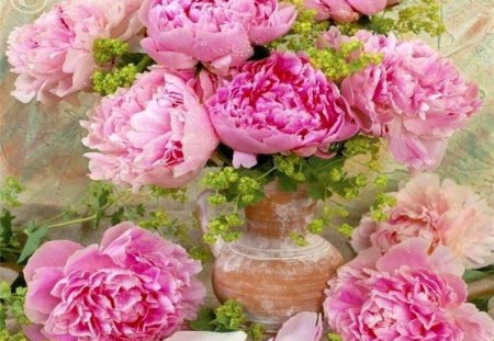 The beauty of pink peonies - vase, shades, beauty, spring, petals, pink, blooming, flowers, nature, smeel