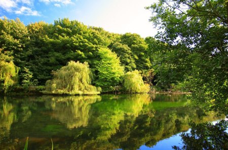 Calm river - nice, trees, riverbank, stream, greenery, clear, mirrored, creek, crystal, calm, pretty, reflection, river, green, summer, shore, lovely, nature, forest, beautiful, waters