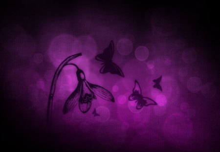 purple - abstract, bg, purple, other