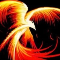 The Fire Bird