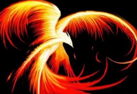 The Fire Bird - fire bird, The Fire Bird, the phoenix bird, the phoenix