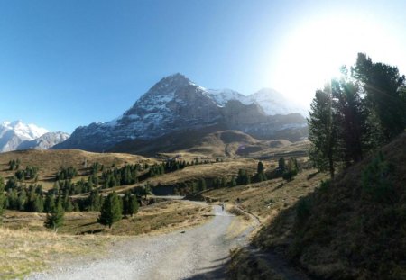 Road to snowy mountains - country road, mountains, forest, landscape