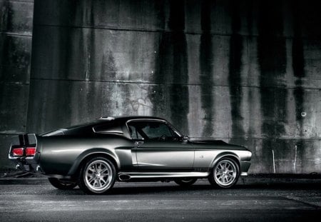 shelby mustang gt500 - shelby, gt500, mustang, car