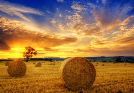 Sunset - clouds, sunlight, beautiful, landscape, beauty, grass, sunset, nature, sky