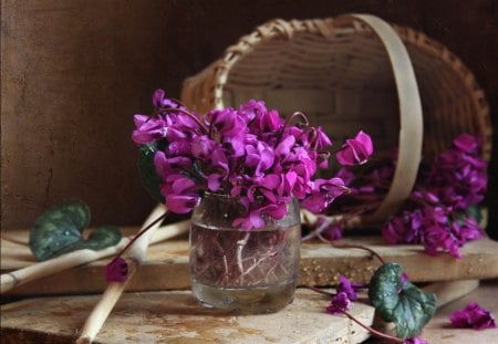 Still Life - pretty, purple flowers, beautiful, photography, beauty, lovely, petals, still life, flowers, basket, nature, purple