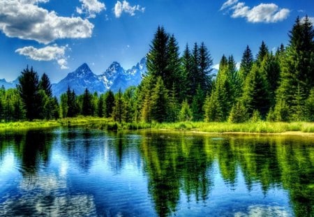 Green lake - pretty, grass, crystal, shore, riverbank, lake, nice, emerald, sky, clouds, trees, beautiful, mirrored, lovely, river, nature, green, clear