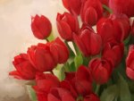 *** Red tulips ***