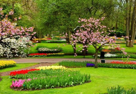 Spring garden - pretty, quiet, relax, blossoms, frass, spring, walk, alleys, flowering, flowers, fresh, paradise, nice, greenery, branches, trees, beautiful, lovely, freshness, blooming, rest, nature, park, pleasant