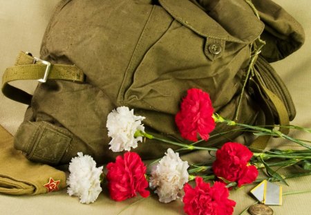 *** Beautiful carnation for soldiers ***