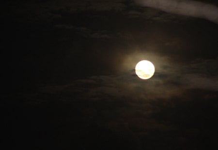 Full Aussie Moon - creepy, halloween, night, spooky, photography, full moon, moon, nature, cloudy