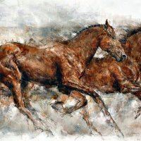 Racing Bays - Horses 2