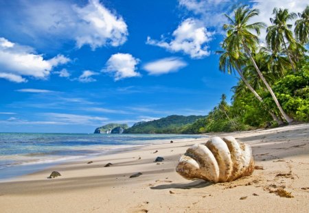 Lonely Shell - sky, beach, trees, paradise, water, clouds, shell, sand, ocean, hills, light, daylight, day, palms, palm, serenity, nature, blue, sea