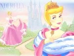 ~Princess Cinderella~