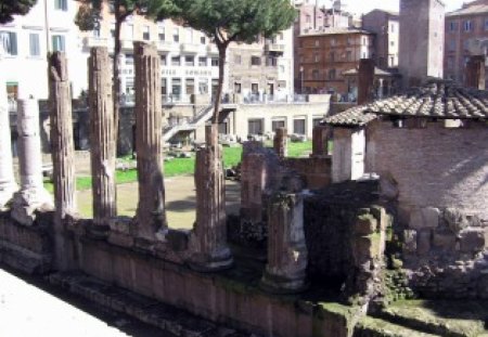 Remaining Columns - columns, architect, remains, ancient