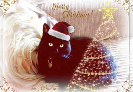 A Furry Christmas - black cat, card, Gretel, Christmas, Santa hat