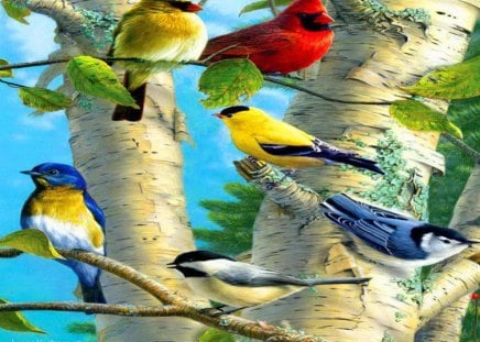 In the birch - birch tree, birds, yellow, blue, red, colors