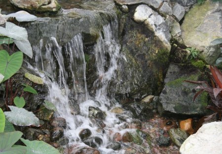 Waterfalls at Edmonton pyramid garden - Waterfalls, green, photography, stones, rocks, leaves