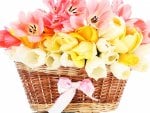 *** Basket of tulips ***