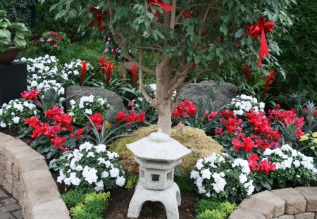 photos day at Edmonton garden 43 - trees, photography, cyclamen, white, grey, red, flowers, stones, garden